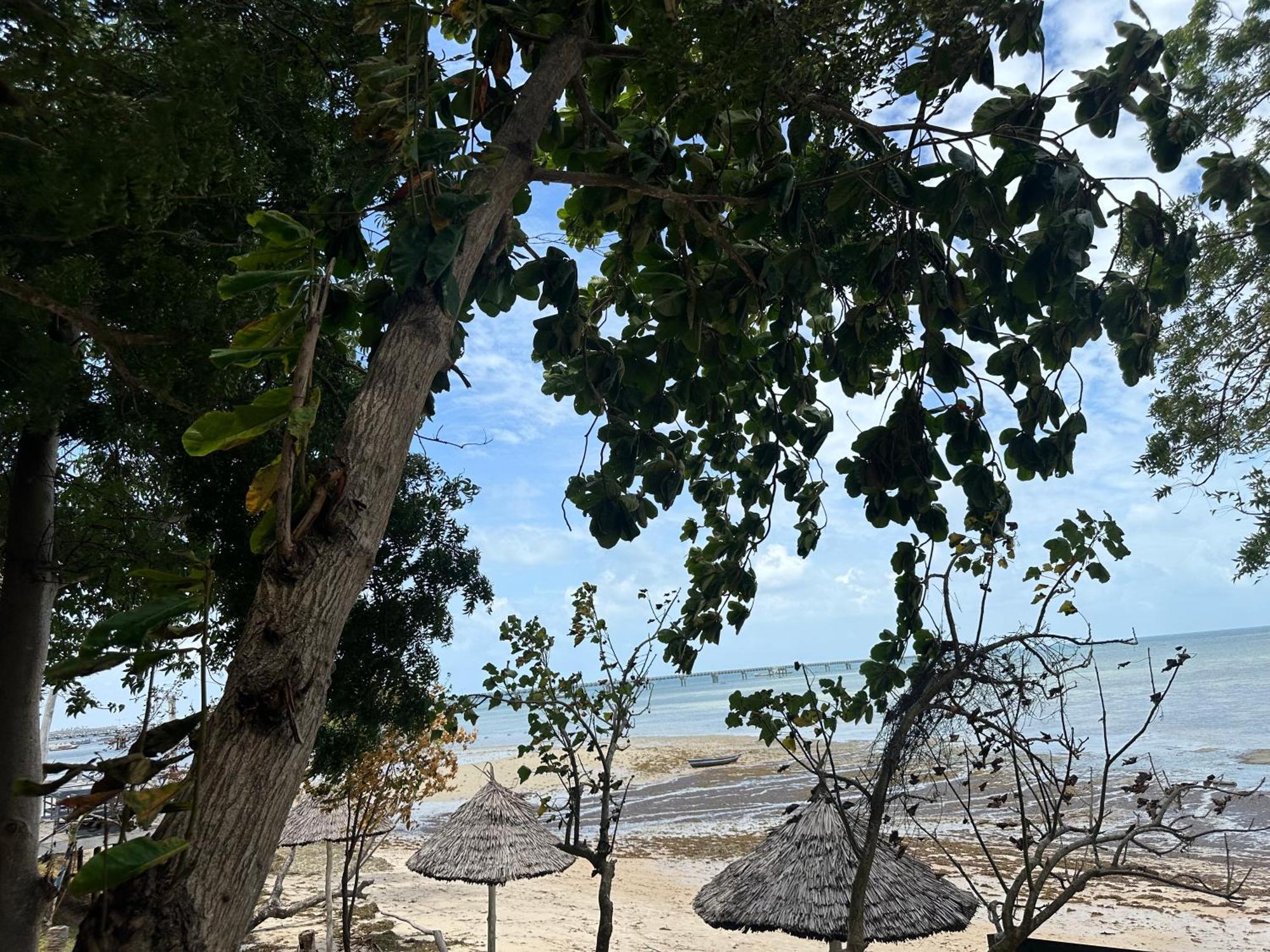 Maweni Beach Bungalows キリンドニ エクステリア 写真