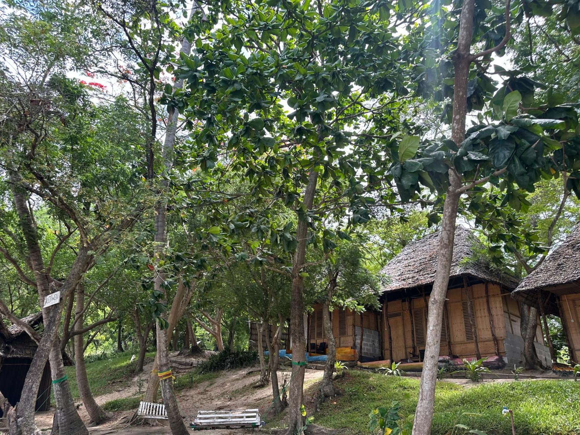 Maweni Beach Bungalows キリンドニ エクステリア 写真